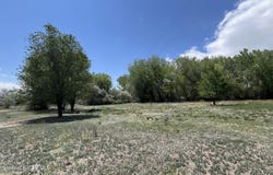291 MUSTANG Lane, Bloomfield, NM 87413