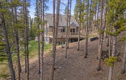 463 BLUE FLAG CIRCLE, Breckenridge, CO 80424
