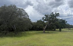 0 NW 190th Ave, Dunnellon, FL 34432