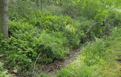 Tbd Howlett St., Hillsville, VA 24343