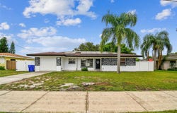 1561 BASS BOULEVARD, DUNEDIN, FL 34698