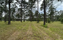 Hidden Pines Lane, Flora, MS 39071