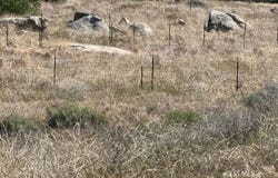 3171 Erskine Creek RD, Lake Isabella, CA 93240