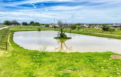 1060 Young Bend Road, Brock, TX 76087