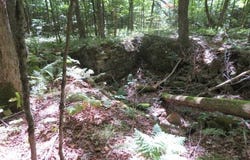Garrison Rd, Pitcairn, NY 13648