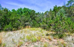 12141 Nm State 14, Cedar Crest, NM 87008