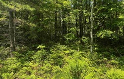 85395 Longwood Dr, Bayfield, WI 54814