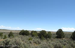 15310 DS Road, Glade Park, CO 81523
