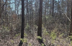 30 & 48 Dogwood, Martin, GA 30557
