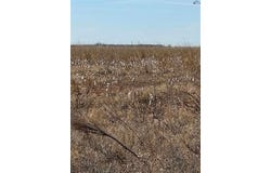 Tbd CR 168, Haskell, TX 75921