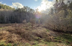 0 Rocky Creek Rd Road, Del Rio, TN 37727