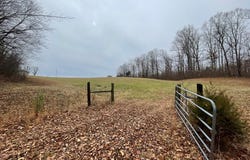 SULPHUR CREEK RD, BIG SANDY, TN 38221
