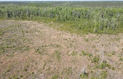 TBD NW John F. Bailey Rd., Blountstown, FL 32424