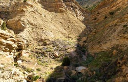 Tbd Black Diamond Mine Area, Grand Junction, CO 81506