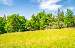 6281 Bear Creek Road, Garden Valley, CA 95633