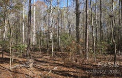 10.64 AC Burree Road, Clover, SC 29710