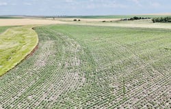 TBD 303 Ave, Presho, SD 57568