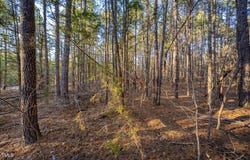 8596 Redding Road, Oxford, NC 27565