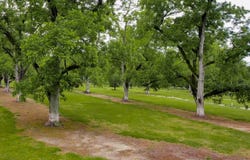 0 Elpino Rd, Cairo, GA 39827