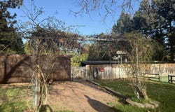 1400 Davis Place Rd, Mt Shasta, CA 96067