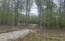 0 Deer Wood Drive, Sewanee, TN 37375