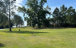 163 US Hwy 84, Boston, GA 31626