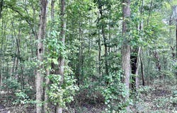 TBD OLD SHORE RD, Blackstone, VA 23824