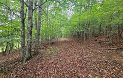 Tbd Mallard Ln, Fries, VA 24330