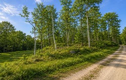 480 Ridgeway Lane, Walker, MN 56484