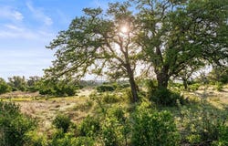 Lot 3 & 4 Vista Ridge, Round Mountain, TX 78663