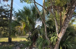 3000 Elm St, Welaka, FL 32193