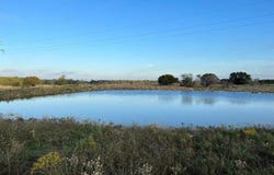 11060 State Highway 254, Graford, TX 76449