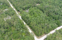 1823 HONEYTREE STREET, BUNNELL, FL 32110