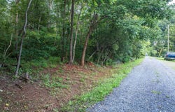 RIDGE ST, LOVINGSTON, VA 22949