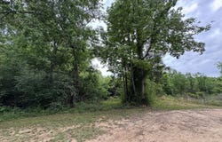 Miller Lane, Summit, MS 39666