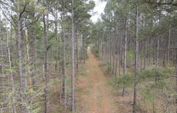 0 Parks Mill, Buckhead, GA 30625
