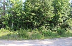 813 Doctor Young Road, Hampton, SC 29924
