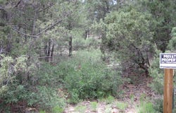 35 THUNDERBIRD Lane, Tijeras, NM 87059