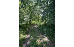Ivy Trail, Winterset, IA 50273