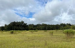 313 NW SR 45, NEWBERRY, FL 32669