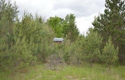 0 43 1/2 ROAD, MANTON, MI 49663
