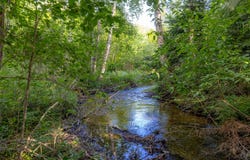 NHN Trumble Canyon Road, Columbia Falls, MT 59912