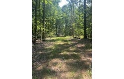 8268 S Ferris Avenue, Newaygo, MI 49337