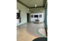 605 N Boonville Avenue, Springfield, MO 65806