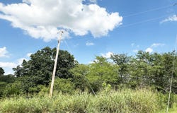 000 Shady Oaks Shore, Forsyth, MO 65653