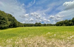 0 Garrett Road, Ashford, AL 36312