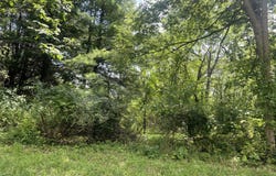 609 HARDSCRABBLE Lane, Lewisburg, PA 17837