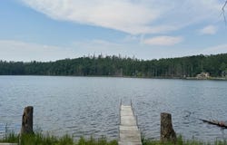 1677 W Martin Lake Road, Elmira, MI 49730