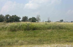 N9013 WILDFLOWER Lane, BRILLION, WI 54110