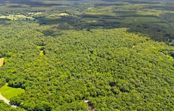 KIPPS lot: 19, ELKWOOD, VA 22718